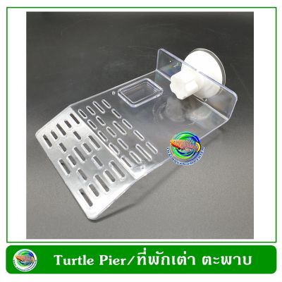 Turtle Dock Size S ที่พักเต่า ที่พักตะพาบ พลาสติกใส สำหรับเต่า,ตะพาบ สัตว์ครึ่งบกครึ่ีงน้ำ ติดข้างกระจก Turtle Pier