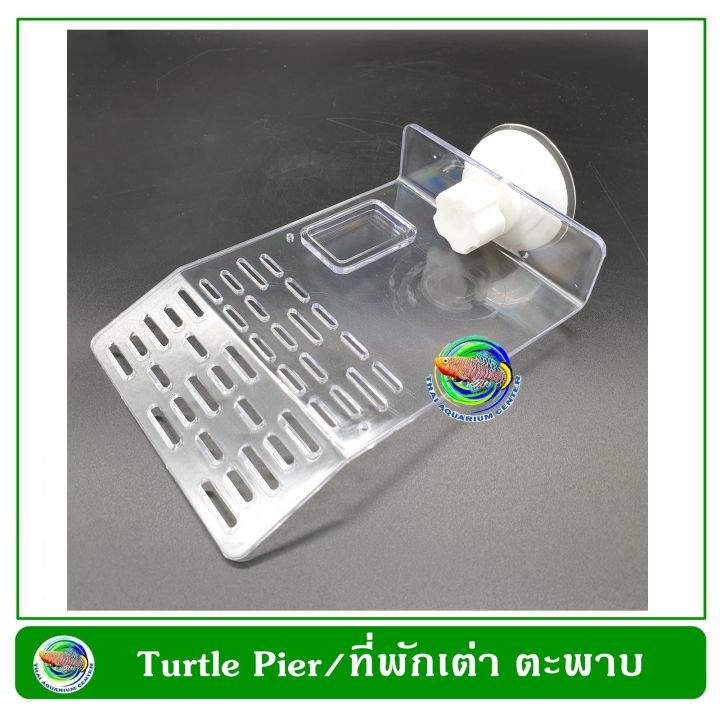 turtle-dock-size-s-ที่พักเต่า-ที่พักตะพาบ-พลาสติกใส-สำหรับเต่า-ตะพาบ-สัตว์ครึ่งบกครึ่ีงน้ำ-ติดข้างกระจก-turtle-pier