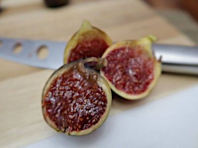 10 เมล็ด เมล็ดมะเดื่อฝรั่ง Figs สายพันธุ์ Martinenca Rimada ของแท้ 100% มะเดื่อฝรั่ง หรือ ลูกฟิก (Fig) อัตรางอก 70-80% Figs seeds มีคู่มือวิธีปลูก