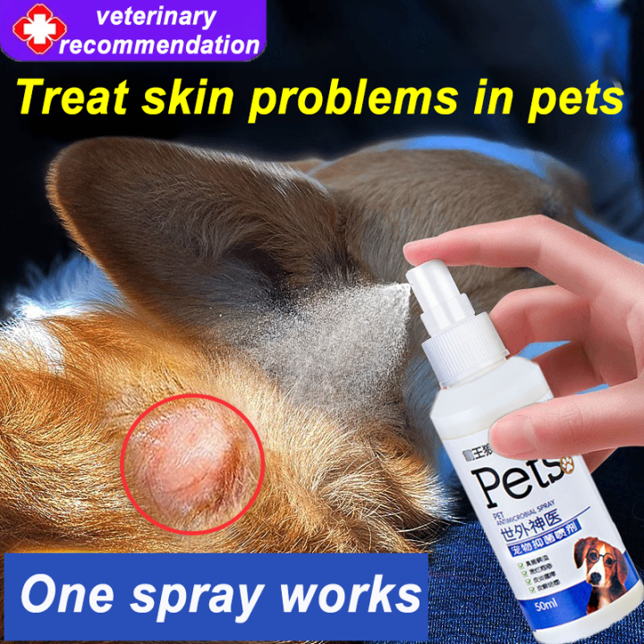 🐶veterinary recommendation😻 Pet skin treatment spray Pet skin care ...