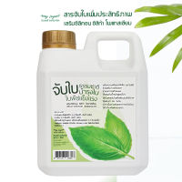 จับใบธรรมชาติ (1ลิตร) INSAY ORGANIC สารเพิ่มประสิทธิภาพ ผสม ซิลิคอน ซิลิก้า โพรแทสเซียม ช่วยเสริมความแข็งแรงให้ใบพืช ลดการเกิดแมลง