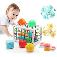 Montessori Toys Baby Shape Sorter Game Sensory Toys for Boys Girls Suction Cup Spinner Toy for 1 2 3 Years Baby Toys 6-12 Months