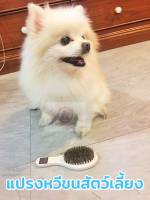 แปรงหวีขนสุนัข แปรงสำหรับสัตว์เลี้ยง หวีสำหรับสัตว์เลี้ยง ด้ามไม้ Grooming Brush ลดการเกิดสังกะตัง สำหรับสุนัขและแมว