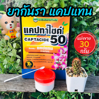 ยากันเชื้อรา cactus ยากันราแคปแทน (Captan - Captacide 50) ราในกระบองเพชร ไม้อวบน้ำ แคคตัส ไม้ประดับ ยาเพาะเมล็ด ฆ่าเชื้อราในดิน แบ่งขาย 30 g homes