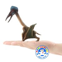 Munich Play - โมเดล ไดโนเสาร์ Hatzegopteryx ขนาด 14.00 CM (จากหาดใหญ่)