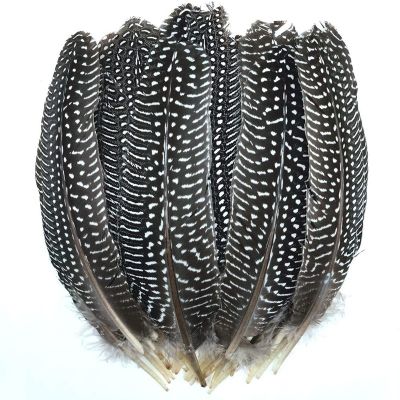 ⊙◈ 10/20pcs wing natural pheasant feathers spotted Guinea fowl pluma diy marabou feathers for crafts needlework decor plumes17-22cm