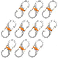 S Shape Mini Carabiner with Lock Keychain Spring Clip Keychain Ring Clip Stainless Steel Buckle for Outdoor Hiking Traveling