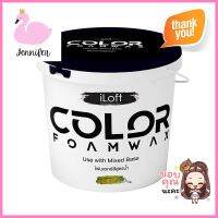 สีเท็กเจอร์ ILOFT COLOR FOAMWAX สีเขียว 900 กรัมTEXTURED PAINT ILOFT COLOR FOAMWAX GREEN 900G **หมดแล้วหมดเลย**