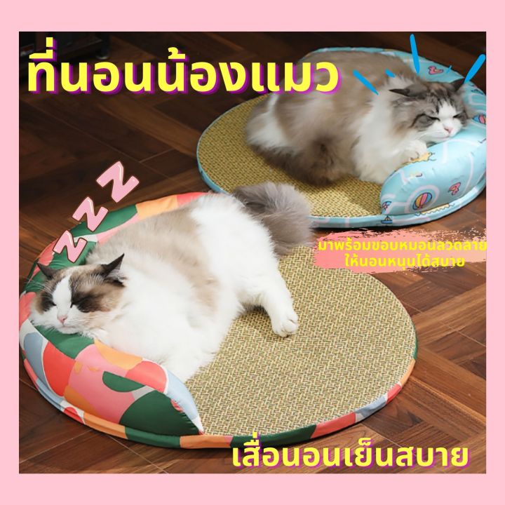 petparadise-th-ที่นอนแมวแมวเสื่อฤดูร้อน-ที่นอนแมว-ที่นอนแบบเสื่อ-ที่นอนเสื่อ-เบาะแมว-เบาะเสื่อแมว-เบาะรองนอนแมว