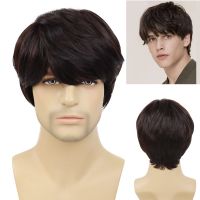 GNIMEGIL Synthetic Hair Short Wigs for Men Brown Color Male Korean Wigs with Bangs Cosplay Halloween Costume Party Wig Hairstyle Wig  Hair Extensions