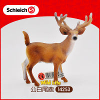 ? Sile Toy Store~ Siler Schleich Male And Female White-Tailed Deer 142531425414256 Wild Animal Model Toys