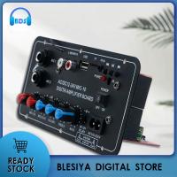 Blesiya บอร์ดเครื่องขยายเสียง220V 12V 24V โมดูลสำหรับลำโพงแบบ DIY ลำโพงรถยนต์เครื่องเสียงบ้าน