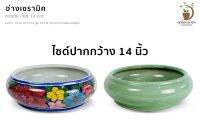 อ่างบัวเซรามิค ก้นตื้น (ไซด์กว้าง 14 นิ้ว ความอ้วนสุดของอ่าง)