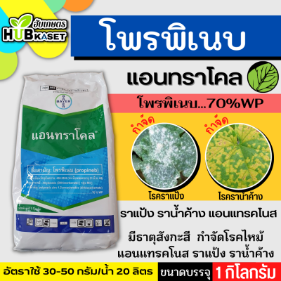 แอนทราโคล 1กิโลกรัม (โพรพิเนบ) ป้องกันเชื้อราใบจุด ราน้ำค้าง แอนแทรคโนส