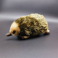 535Echidna High Fidelity ตุ๊กตาน่ารักตุ่น Plushie Spiny Anteater ของเล่นตุ๊กตาสัตว์เหมือนจริงจำลองตุ๊กตายัดไส้ Gifts604ของเล่น Kawai