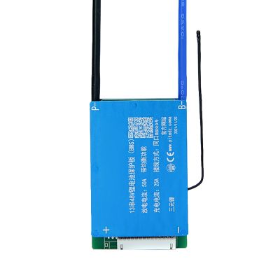 BMS 17S Lifepo4 Lithium Battery Management PCB Protection Board with Balanced Leads for 18650 Lifepo4