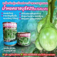 เมล็ดพันธุ์มะเขือเปราะน้ำหยดราชบุรี #29 ขนาด 20-50 กรัม