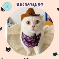 หมวกคาวบอยสัตว์เลี้ยง หมวกหมา หมวกแมว หมวกสุนัข Cowboy Pet Hat