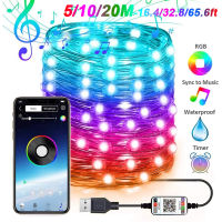 5M10M20M Smart RGB Fairy String Light APP Bluetooth Control Waterproof USB Copper Wire Lights 16 Colors New Year Decoration