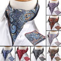 Men 39;s Cravat Pocket Square Set Formal Necktie Hankerchief Ascot Scrunch Self Paisley Polyester Silk Neck Tie Luxury