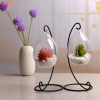 CRH 8 Cm Succulent Planters Ball Hanging Terrarium Hanging Vases Hanging Planters Glass Vase