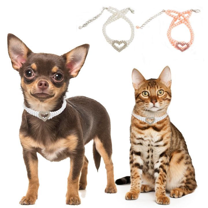 Cute 2024 dog necklaces