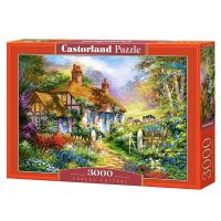 [พร้อมส่ง 1 กล่อง] Castorland jigsaw puzzle จิ๊กซอว์ 3000 ชิ้น