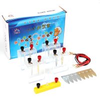 Bio Energy Science Kit DIY Potato Fruit Supply Electricity Experiments Kids Children Student Learining Science Educational Toy