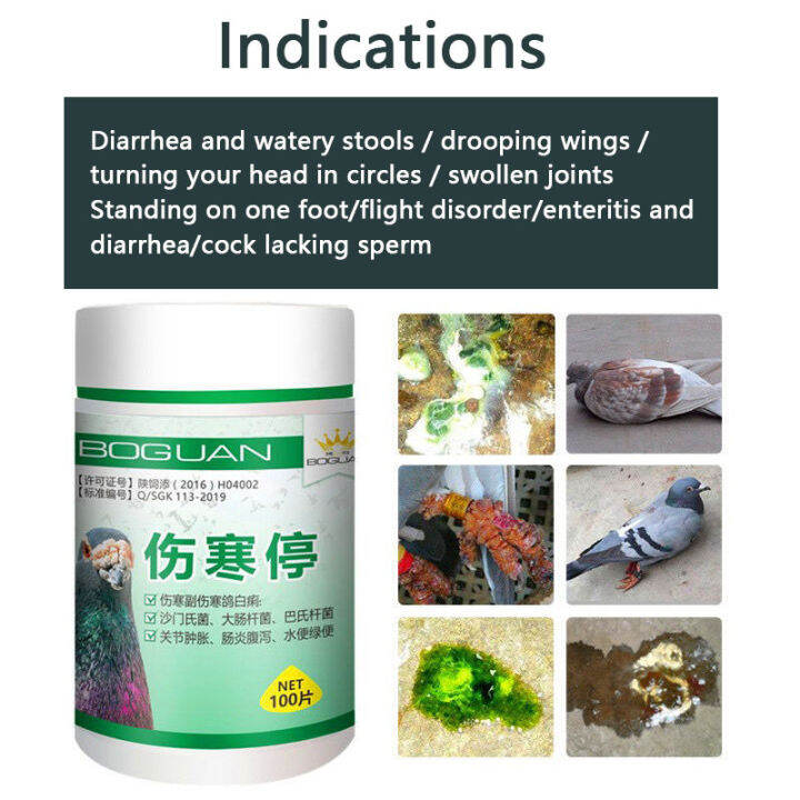 Pigeon typhoid fever stop Salmonella water green stool joint swelling