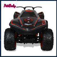 Petbaby 1: 10เครื่องแข่งตีนตะขาบหินความเร็วสูงรถของเล่นไฟฟ้า RC ความเร็วรถ Drifter รุ่นรถยนต์ควบคุมรีโมท