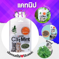 ⭐สินค้าพร้อมส่ง⭐ กัญชาแมว แคทนิป Catnip แคทมิ้น Catmint แบบผง 5g