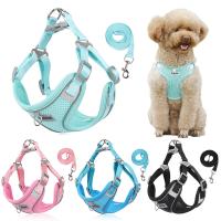 Summer No Pull Dog Harness And Leash Set For Small Medium Dogs Puppy Cat Mesh Harness Vest Pug Chest Strap Pet Accessories