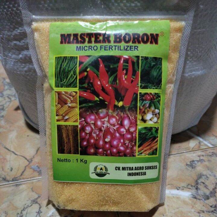 Pupuk MASTER BORON Micro Fertilizer Isi 1 Kg | Lazada Indonesia