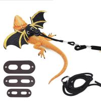 3 Size Lizard Harness Leash with Cool Wing Adjustable Leather Bearded Dragon Reptile Walk Strap for Amphibians Small Pet B03E Leashes