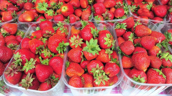 สตอเบอรี่-strawberry-นำเข้าจาก-usa-aus-korea-เกรดพรีเมี่ยม-premium-ราคา-1แพ็ค-250-กรัม