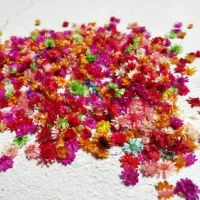 Dry Press Flowers 140pcs Real Dried Flowers Diy Art Craft Epoxy Resin Candle Making Jewellery Home Party Decorative