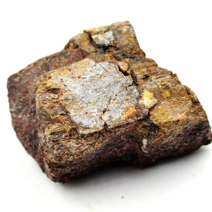 ตัวอย่างเศษกระดูกไดโนเสาร์กลายเป็นหิน-จากยูท่าห์-อเมริกา-agatized-dinosaur-bone-เพื่อการศึกษา-ไม่ทราบสายพันธุ์