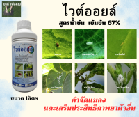 ไวต์ออยล์  สูตรน้ำข้น 67% ของบริษัทเชอร์วู้ด กำจัดแมลงได้หลากหลายชนิด