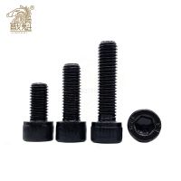 5-50pcs Hexagon Hex Socket Cup Head Screw Bolts M1.4 M1.6 M2 M2.5 M3 M4 M5 M6 M8 M10 12.9 Grade Carbon Steel Allen Screw Din912