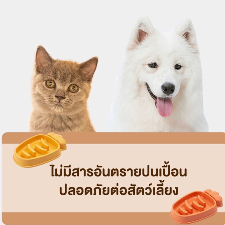 cai-cai-ชามอาหารสัตว์เลี้ยง-ชามให้อาหารสุนัข-ชามให้อาหารแมว-สุนัขและแมว-ชะลอกิน