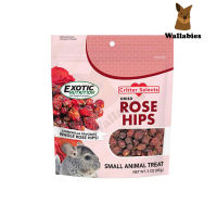 Exotic Nutrition Critter Selects DRIED ROSE HIPS (85g.) อาหารขนมสำหรับสำหรับชูการ์ ชินชิลล่า กระรอก เดกู EXP:02/2025