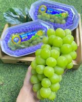 องุ่นไชน์มัสคัส แพ็ค 500g. สายพันธ์ุญี่ปุ่น Shine Mascat Grape [ซื้อ 1 แถม 1]