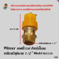 Winner เซฟตี้วาวล์ สำหรับปั๊มลม เกลียวตัวผู้ขนาด 1/2  Model M2C230