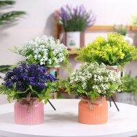 【cw】 Europe Small Indoor Room Decoration Potted Ornaments ！