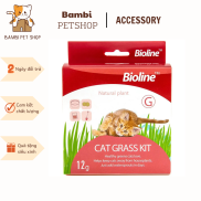 Bộ Trồng Cỏ Mèo Tươi BIOLINE - Cat Grass Kit - Giúp Tiêu Hóa Tốt Cho Mèo