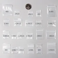 100pcs Mini Zip lock Bags Plastic Packaging Bags Small Plastic Zipper Bag Ziplock Bag Ziplock Pill Packaging Pouches More SizeShoe Bags