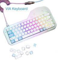 Cinnamon Dog 60% คีย์บอร์ด RGB Backlight Keypad 64คีย์ผ่าน Programmable Mechanical Kit Hot Swap Socket Acylic Keyboard