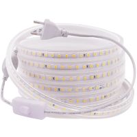 High Safety 2835 LED Strip Light 220V 120LEDs/m Flexible LED tape with Switch Plug Outdoor Waterproof LED Ribbon Rope Light