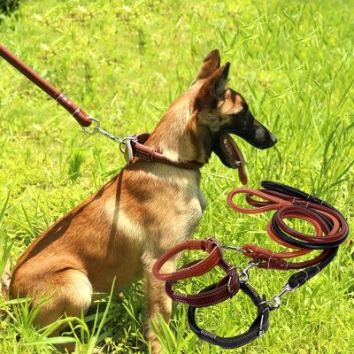 Durable Quality Leather Weaving Round Belt Dog Leash Comfortable Classic Pet Dog Collar Pet Dog Supplies