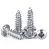 A2 304 Stainless M6 M8 Phillips Pan Head Self Tapping Screws